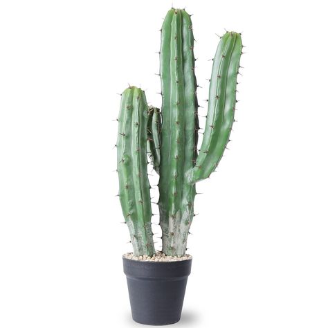 made up of plastic.Its quite elegant and durable accent and does not require any sort of heavy upkeep. Faux Cactus Plant:Suitable for both indoor or Tall Cactus Plants, Fake Cactus Plants, Plants For Home Garden, Fake Cactus, Tall Cactus, Milk Paint Colors, Artificial Cactus, Store Decoration, Faux Cactus