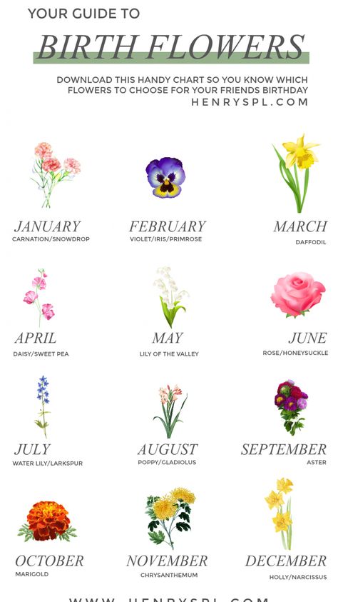 It's that time of year when you sit down with a cup of coffee, get cosy and fill out your calendar with everyones birthdays for the next 12 months. Get one step ahead by adding the flower that represents their birth month... because flowers are always a good idea! FREE CHART INSIDE! #tattoosforwomen #tattooideas Flower Chart, Birth Flower Tattoos, Парные Тату, Geniale Tattoos, Flower Guide, Flower Meanings, 카드 디자인, Seni Origami, Language Of Flowers