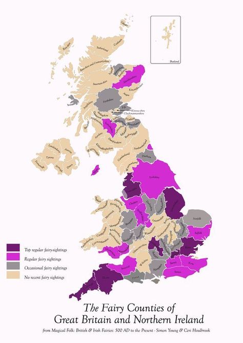 More than 1,000 people responded to a fairy sighting survey Irish Fairies, Fairy Places, Fairy Names, Irish Fairy, Childhood Stories, Earth Spirit, Supernatural Beings, Event Organiser, Mad Dog