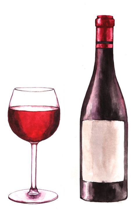 Wine Bottle Drawing, Red Wines Guide, Wine Glass Illustration, Wine Glass And Bottle, Wine Glass Drawing, Bottle Drawing, Wine Painting, Wine Photography, Red Wine Bottle