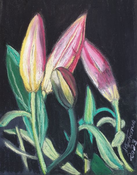 Soft pastels on black paper Oil Pastel On Black Paper, Pastels On Black Paper, Pastels Art, Kitchen Painting, Soft Pastels Drawing, Soft Pastel Art, Black Paper Drawing, Pastel Sec, Dry Pastel