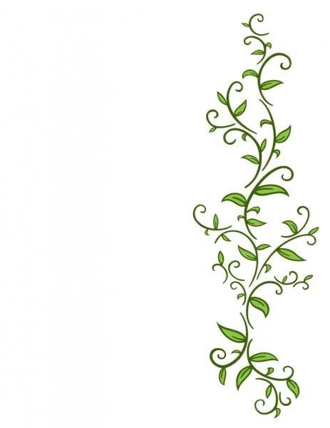 Flowers Art Drawing, Vine Drawing, Png Flowers, Green Vines, Vine Tattoos, Flowers Png, Vine Leaves, Leaf Drawing, Craft House