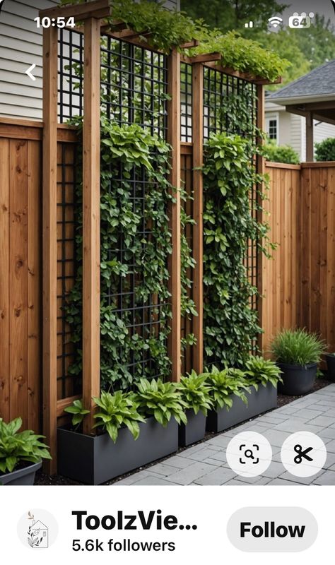 Backyard Growing Ideas, Fence With Pergola Top, Vertical Screening Ideas Outdoor, Fence Trellis Ideas Climbing Vines, Back Fence Ideas, Yard Trellis Ideas, Lattice Trellis Ideas Climbing Vines, Gardening Ideas For Front Of House, Small Backyard Fence Ideas