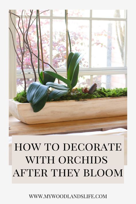 Need an idea for what to do with your orchid after it blooms? Don't throw it away! Instead, make this DIY orchid arrangement. Orchids are easy to care for indoor plants that are very forgiving. This rustic orchid display takes about 15 minutes to put together and lasts for years. It would also make a beautiful and easy DIY wedding centerpiece for a rustic or garden wedding theme that could be made ahead of time. It could even be scaled down for a wedding favor idea for guests. Orchid Bedroom Decor, Orchid Living Room, Creative Orchid Display, Orchid Ideas Decor, How To Display Orchids Inside, Orchid Shelf Ideas, Indoor Orchid Display, Orchid Planting Ideas, Orchid Display Ideas Indoor