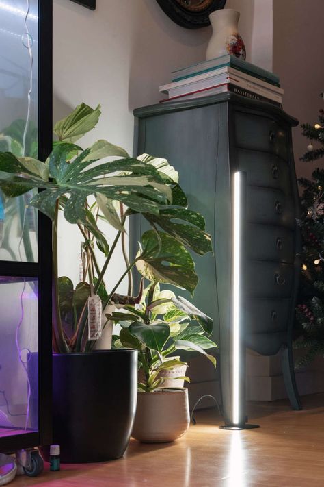 Best Grow Lights for Indoor Plants | FlatwithPlants Indoor Grow Light Ideas, Grow Station, House Ideas 2023, Grow Plants Indoors, House Plants Ideas, House Plant Decor, 90s House, Indoor Grow Lights, Best Grow Lights