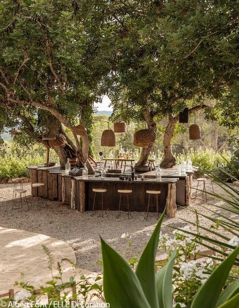 Outdoor Kitchen Around Tree, Bar Around Tree, Stones Around Tree, Table Around Tree, Table Under Tree, Backyard Farm Ideas, Farmstay Design, Tulum Inspired Backyard, Tree In House