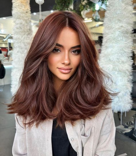 Dark Fall Hair, Chestnut Hair, Kadeřnické Trendy, Chestnut Hair Color, Brown Hair Looks, Brown Hair Inspo, Ginger Hair Color, Vlasové Trendy, Red Brown Hair