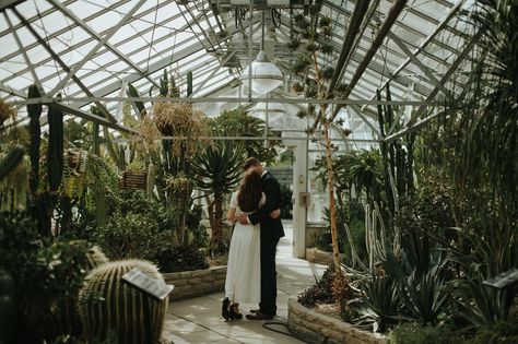 Secret Allan Gardens elopement in Toronto // Daring Wanderer: www.daringwanderer.com Variegated Hosta, White Clematis, Plant Watering System, Greenhouse Supplies, Greenhouse Growing, Greenhouse Wedding, France Photography, Diy Greenhouse, Photographer Portfolio