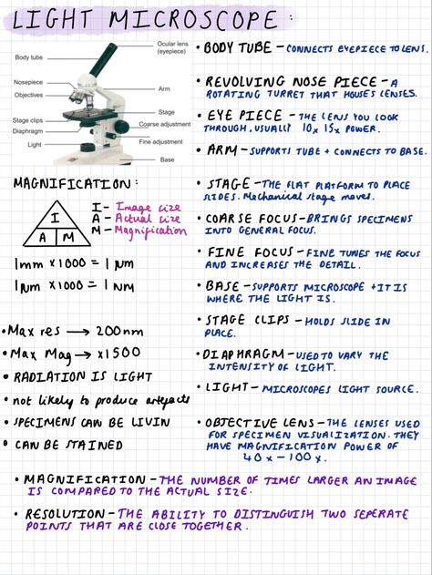 Revision notes for biology A level year one! I have lots more notes on here! Go check them out:) Microscope Notes Biology, Biology 2 Notes, Btec Applied Science Level 3, Biology Revision Gcse Cells, Revision Notes Biology Alevel, As Level Biology Notes, Gcse Science Revision Biology, Microbiology Study Note, Alevel Bio Notes