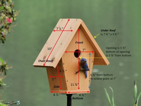 Bluebird Birdhouse, Bluebird House Plans, Birdhouse Plans, Bird House Plans Free, Birdhouse Projects, Wooden Bird Feeders, Homemade Bird Houses, Bird Houses Ideas Diy, Bluebird House