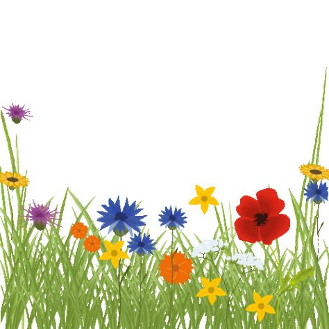 Plants Gif, Flowers Animation, Gif Flores, Flowers Animated, Plants Science, Green Video, Free Cartoon Characters, Green Grass Background, Card Backgrounds