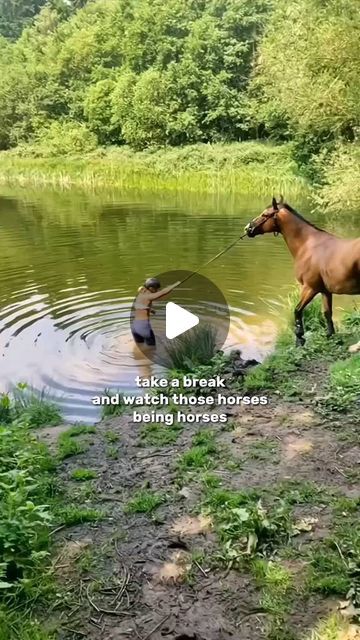 Horse Love Zone 🐎 | Have good day with funny Horse   Cr: Tiktok hxrseditsz ____________ ================== • • • • • #equestrian #equestrianlife #h... | Instagram Happy Animals Funny, Horses Running Photography, Dogs And Horses, Funny Horse Fails, Cute Pictures To Take With Your Horse, Funny Horses Videos, Funny Animal Pictures Hilarious, Funny Animal Sayings, Wild Horse Videos