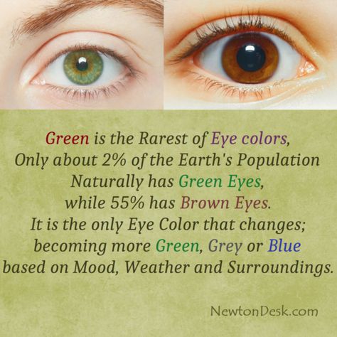 Light Green Hazel Eyes, Beautiful Eye Color Aesthetic, Olive Green Eyes Aesthetic, Jade Eyes Color, Green Eyes Meaning, Facts About Green Eyes, Green Eyes Outfit, Jade Green Eyes, Green Eyes Facts