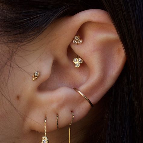 This ear is on point #earpiercing #piercing #rook #conch #tragus #gold #earring Hippe Piercings, Different Types Of Ear Piercings, Piercings Oor, Rose Gold Tattoo, Top Ear Piercing, Different Types Of Piercings, Tragus Gold, Piercings Bonitos, Piercing Conch