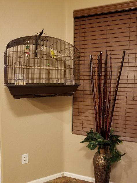 Bird Cage Stand Ideas, Diy Wire Bird Cage, Mess Free Bird Cage, Bird Cage With Plant Inside, Bird Cage Stand, Diy Bird Cage, Hanging Bird Cage Pet, Hanging Bird Cage, Bird Stand