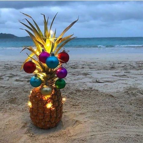 Hawaiian Christmas Party, Christmas Luau, Christmas On The Beach, Christmas In Hawaii, Xmas In July, Pineapple Christmas, Christmas In July Party, Christmas At The Beach, Hawaii Christmas