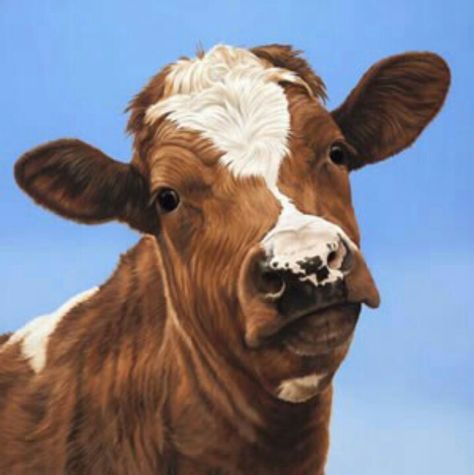 I know you won't believe it but it's a painting Cow Snap, Cow Riding, Funny Rap, Brown And White Cow, Guernsey Cow, Sweet Cow, Cow Photos, Fluffy Cows, Happy Cow