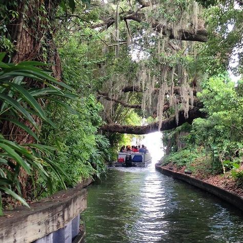 Things To Do Orlando, Winter Park Orlando, Florida Trips, Extravagant Homes, Florida Adventures, Winter Park Florida, Orlando Theme Parks, Mount Dora, Get Lucky