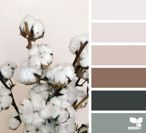 Nature Tones ~ design seeds on Bloglovin’ Today's Inspiration, Salon Suites, Design Seeds, House Paint Exterior, Color Tones, Color Studies, Exterior House Colors, Colour Palettes, Color Stories