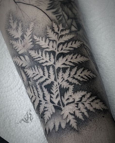 Negative Leaves Tattoo, Negative Flower Tattoo, Lichen Tattoo, Poland Tattoo, Nature Tattoo Ideas, Cool Nature, Fern Tattoo, Blackwork Tattoos, Tattoo Pictures