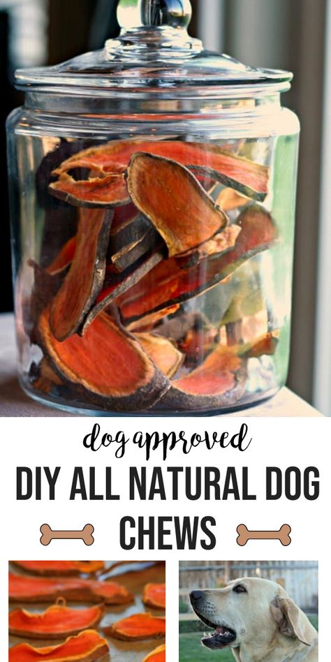 Mason Jar Dog Treats, Easy Homemade Puppy Treats, Healthy Homemade Treats For Dogs, Homemade Dog Products, Dog Treat Recipes No Bake, Diy Organic Dog Treats, Homemade Dog Treats For Training, Homemade Dog Gifts Easy Diy, Easy Doggie Treats