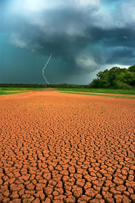 Drought Images, Oklahoma Scenery, Oklahoma Landscape, Norman Oklahoma, Desert Plants, Science Classroom, Christmas Cats, Oklahoma, Art Ideas