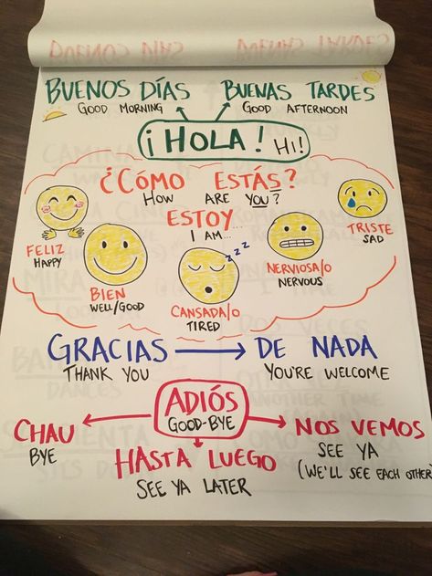 Preschool Spanish Lessons, Spanish Teacher Classroom, Dual Language Spanish, Spanish Classroom Decor, Spanish Learning Activities, Preschool Spanish, Spanish Classroom Activities, Learning Spanish For Kids, Spanish Curriculum