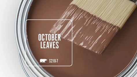 Behr October Leaves, Cardamom Spice Behr Paint, Behr Clay Paint Color, Behr Basketry Paint, Earthy Bathroom Color Palette, Behr Boho Paint Colors, Antique Paint Colors, Tuscan Paint Colors, Fall Paint Colors