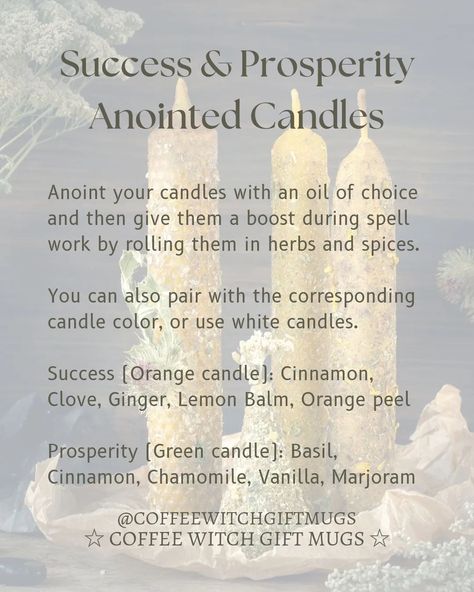 🕯Success & Prosperity Anointed Candles🕯 Anoint your candles with an oil of choice and then give them a boost during spell work by rolling them in herbs and spices. You can also pair with the corresponding candle color, or use white candles🕯🤍 🧡 Success (Orange candle): Cinnamon, Clove, Ginger, Lemon Balm, Orange peel 💚 Prosperity (Green candle): Basil, Cinnamon, Chamomile, Vanilla, Marjoram Success Candle Spell, Orange Candle Spell, Cinnamon Witchcraft, White Candle Spells, Coffee Witch, Candle Cinnamon, Candle Meaning, Witchcraft Candles, Intuitive Tarot