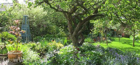 Small Garden Orchard, Tiny Orchard, Small Fruit Orchard, Mini Backyard Orchard, Edible Landscape Design Ideas, Backyard Orchard, Permaculture Orchard Layout, Small Fruit Tree Orchard, Fruit Trees Garden Design