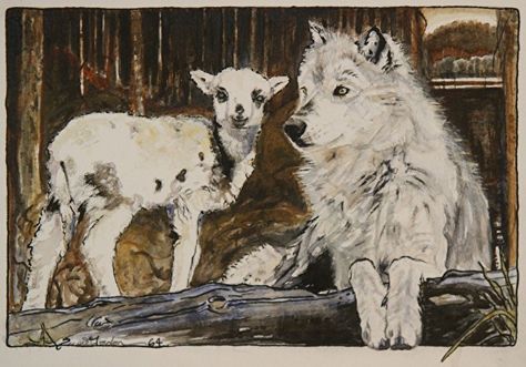 Wolf And Sheep Aesthetic, Wolf And Lamb Aesthetic, Lamb And Wolf, Wolf And Lamb, The Wolf And The Lamb, Chocolate Dogs, Marauders Ships, Lambs And Wolves, Lamb Painting