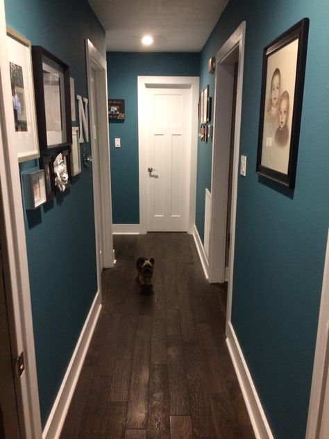 Teal hallway paint, white trim, picture collage, matter frames Teal Hallway, Hallway Paint Ideas, Dark Blue Feature Wall, Hallway Wall Colors, Blue Feature Wall, Hallway Paint Colors, Blue Hallway, Hallway Paint, White Hallway