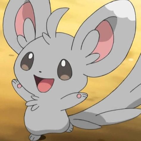 Pokemon Minccino, Minccino Pokemon, Pokemon Amv, Pokemon Icon, Pokemon Cute, Pokemon Oc, Pokemon Images, Pokemon Eevee, Pokemon Teams