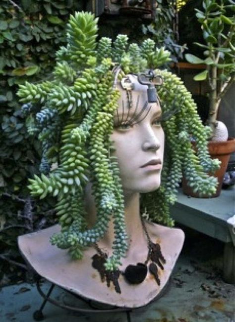 Mannequin Head Succulent Planter . نباتات منزلية, Head Planters, Mannequin Head, Cactus Y Suculentas, Diy Garden Projects, Garden Crafts, Succulents Garden, Succulent Planter, Cacti And Succulents