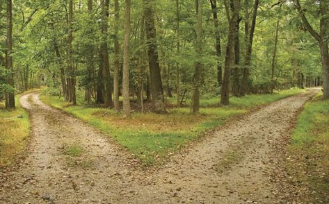 Fork In The Road, The Road Not Taken, Real Estate License, Robert Frost, Dirt Road, On The Road Again, Life Path, Take Me Home, Public School