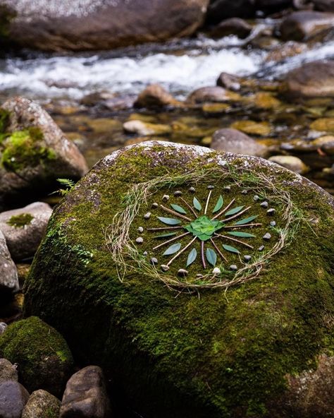 Cordwood Path, Moss On Stone, Forest Mandala, Biodynamic Gardening, Nature Mandalas, Spiral Garden, Spirals In Nature, Sacred Earth, Nature Mandala