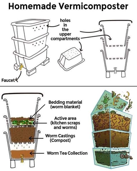 Homemade Compost Bin, Worm Farm Diy, Compost Bin Diy, Diy Compost, Plants And Gardening, Worm Composting, Worm Farm, Garden Compost, Veg Garden