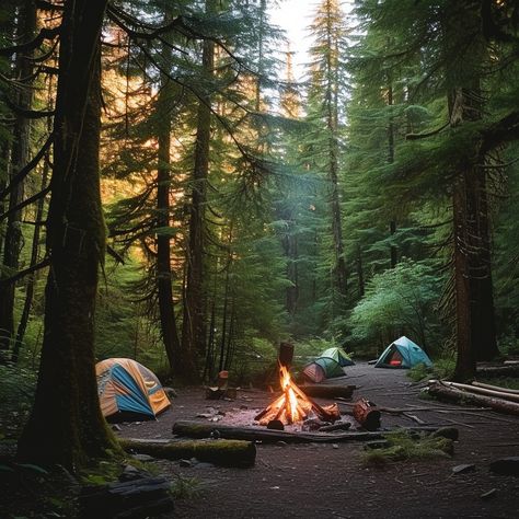 Camping in Woods: Cozy campsite set in a serene forest, with tents pitched and a warm fire crackling. #camping #forest #campfire #tents #woods #nature #outdoor #adventure #aiart #aiphoto #stockcake https://ayr.app/l/4hYT Backcountry Camping Aesthetic, Bariloche, Camping In Woods, Camping Core Aesthetic, Camping Woods Aesthetic, Camping Asthetics Photos, Camping Fire Aesthetic, Camping Date Aesthetic, Cute Camping Set Up