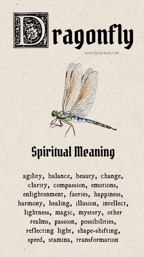 Symbolism Of Dragonflies, Meaning Of Dragonfly Tattoo For Women, Spiritual Tattoos Animals, Symbol Of Transformation, Spirit Guides Tattoo, Dragonfly Tattoo Symbolism, What Does A Dragonfly Symbolize, Red Dragon Fly Spiritual Meaning, Dragon Fly Spiritual Meaning