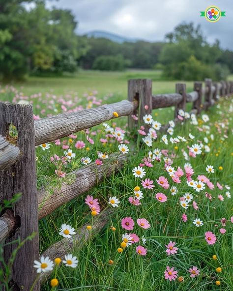 Garden Fence Ideas, Rustic Fence, Wild Flower Meadow, Romantic Country, Beautiful Flowers Garden, Fence Ideas, Beautiful Images Nature, Beautiful Flowers Pictures, Arte Fantasy