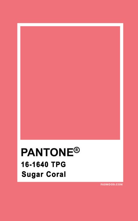 Pantone Sugar Coral 16-1640   #color #colorpalette #pantone pantone pink  #pink Pantone Coral Pink, Coral Pink Colour Palette, Colours Pantone, Wedding Colour Palettes, Colour Pantone, Coral Pantone, Fab Mood, Mood Wedding, Pantone Color Chart