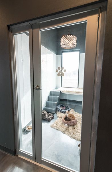 Luxury Suites - Contemporary style - masonco Small Room For Dogs, Dog Room Basement, Dog Room Luxury, Dogs Room Ideas, Dog Room In House, Luxurious Dog Houses, Luxury Pet Room, Closet Turned Into Dog Room, Pets Room