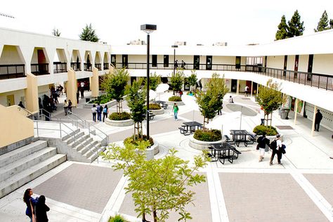 School Courtyard Ideas, Courtyard School, Highschool Design, School Playground Design, School Courtyard, High School Project, Courtyard Ideas, Campus Design, Courtyard Design