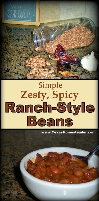 Ranch Beans Recipe, Ranch Style Beans Recipe, Ranch Style Beans, Zesty Ranch, Beans In Crockpot, Pinto Bean Recipes, Chili Ingredients, Homemade Ranch, Beans Recipe