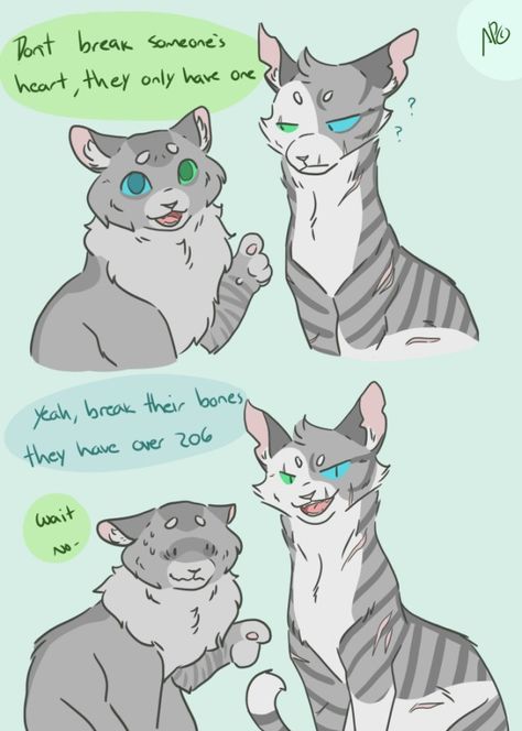 Sketched Animals, Venezuelan Art, Warriors Memes, Oodles Of Doodles, Warrior Cats Funny, Warrior Cat Memes, Warrior Cats Comics, Warrior Cats Series, Blue Ivy Carter