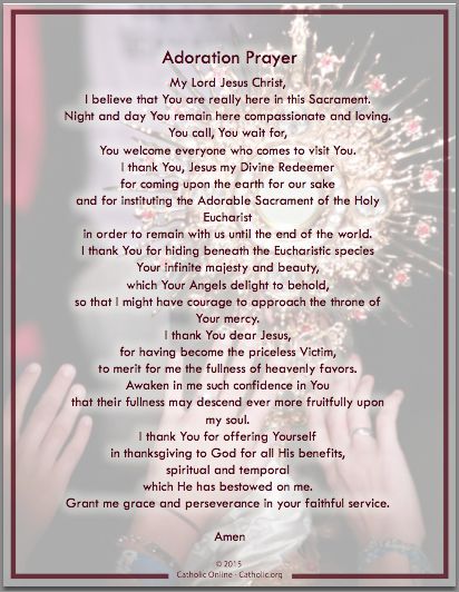 Adoration Prayer, Adoration Catholic, Surgery Prayer, Blessed Sacrament, Eucharistic Adoration, Apostles Creed, Evening Prayer, Prayer For Protection, Special Prayers