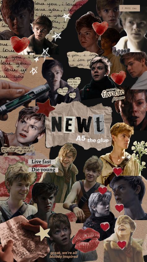 Newt “The Maze Runner” wallpaper Newt And Thomas Wallpaper, Maze Runner Minho Wallpaper, Newt Maze Runner Wallpaper Iphone, Newt Background, Newt Tmr Aesthetic, Maze Runner Wallpaper Iphone, The Maze Runner Aesthetic Wallpaper, Maze Runner Collage, Newt Maze Runner Wallpaper