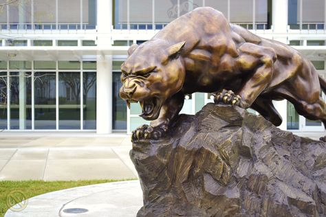 The Panther at FIU Panther Statue, Panther Sculpture, Architecture Collage, Animal Statues, Wood Carving Art, Animal Sketches, Iron Art, Sculptures & Statues, Animal Sculptures