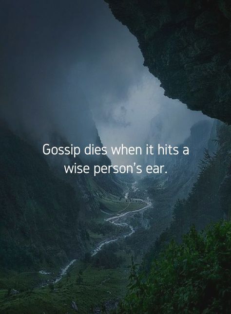 Gossip dies when iT hits a wise person’s ear What I Like About You, Infp, Reality Quotes, Powerful Words, Wise Quotes, True Words, Beautiful Quotes, The Words, Meaningful Quotes