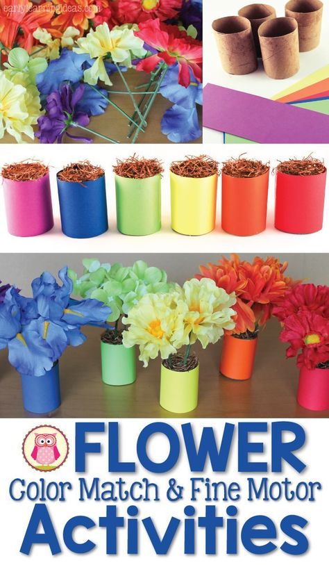 Use flowers from the dollar store and paper towel rolls to make a fun flower color matching activity. Kids can also use the set for counting practice or in a dramatic play flower shop. The flower activities are also great fine motor activities for kids in preschool, pre-k, kindergarten, prep, and tot school. Flower Shop Pretend Play, Play Flower Shop, Flower Activities For Kids, Flower Activities, Paper Towel Crafts, Counting Practice, Preschool Garden, Kindergarten Prep, Dramatic Play Preschool